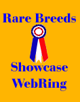 Rare Breeds Showcase Logo